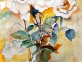 Rose bianche -Emanuela Frassinella